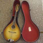 601 3571 Mandolin